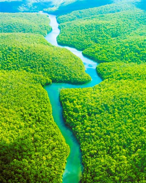 SOUTH AMERICA on Tumblr Amazon Natural Region Colombia Amazonía