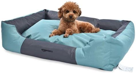 12 Waterproof Dog Bed Options for Your Dog [2021 Reviews] - All Pet's Life