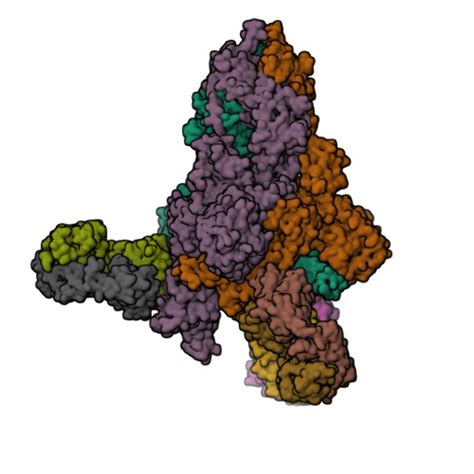 RCSB PDB 7XCO Cryo EM Structure Of SARS CoV 2 Omicron Spike Protein