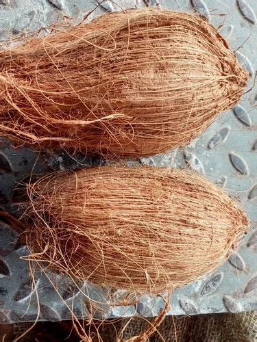 A Grade Semi Husked Coconut Coconut Size Large At Rs 12 Piece In Rewa