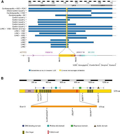 Figure From Fine Mapping Of The P Deletion Syndrome Identifies