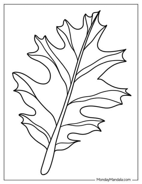 34 Leaf Coloring Pages Free Pdf Printables