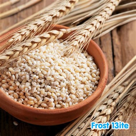 Jual Pearl Barley Yi Mi Ikmi Imie Barli Jelai Biji Jali