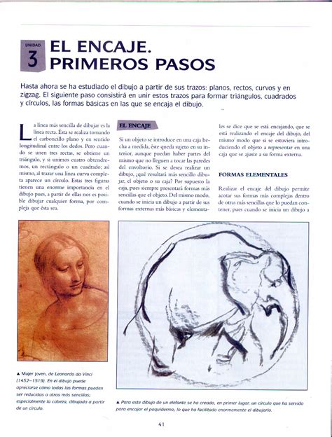 Curso Practico De Dibujo Y Pintura Pdf