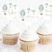 Hot Air Balloon Cupcake Toppers Adventure Awaits Birthday Cupcake