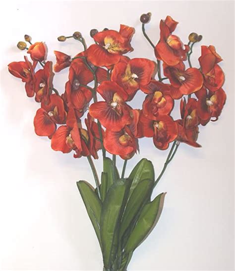 25 X BURNT ORANGE SILK ORCHID S FLOWERS For Flower Arangements Amazon