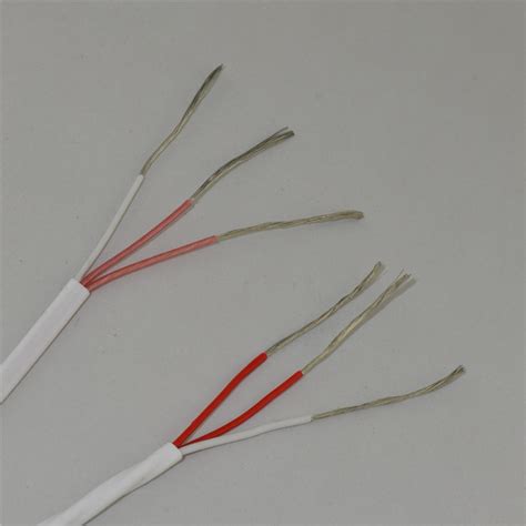 China Rtd Extension Wire Type Rtd Pfa Pfa Mm Pt Wire