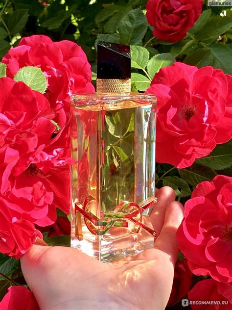 Yves Saint Laurent Libre Eau De Toilette - «Невероятно шлейфовый ...