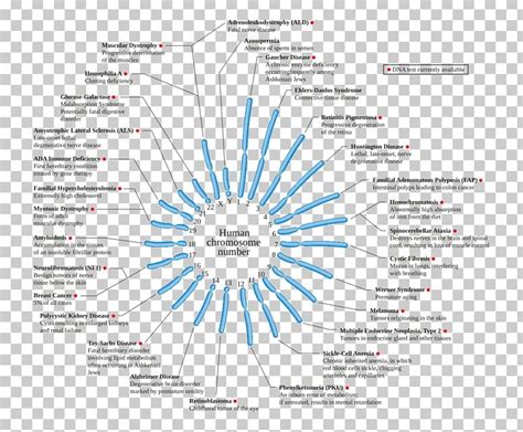 Genetic Disorder Chromosome Abnormality Genetics Jacobsen Syndrome Disease PNG, Clipart, Biology ...