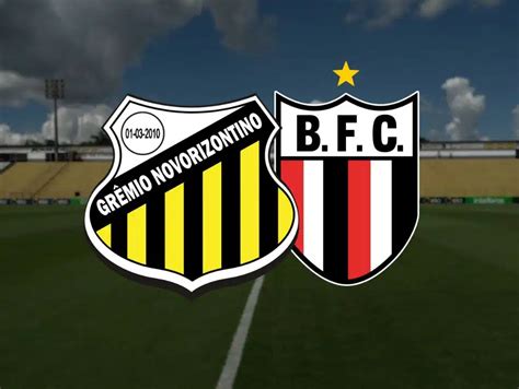 Novorizontino X Botafogo Sp Onde Assistir Ao Vivo Horário E