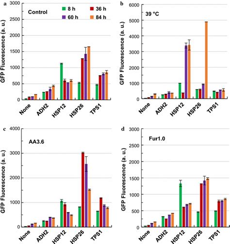 Condition Specific Promoter Activities In Saccharomyces Cerevisiae