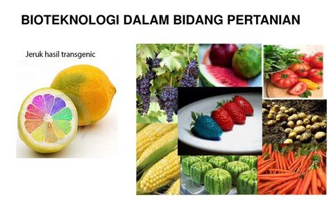 Detail Contoh Produk Rekayasa Genetika Koleksi Nomer 19