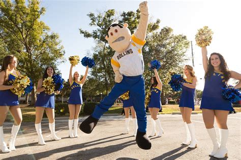 What is a Tar? The story behind Rollins College’s mascot