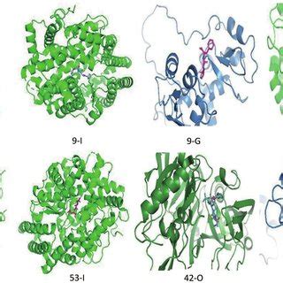Binding interaction between selected peptides (number) and protein ... 