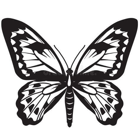 Borboleta Preta Do Branco Do Ilustra Es Vetores E Clipart De Stock