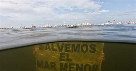 Firma Para Detener El Ecocidio Del Mar Menor