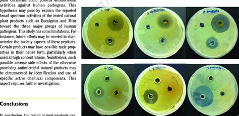 Comparison Of The Antibacterial Activity Of Various Natural