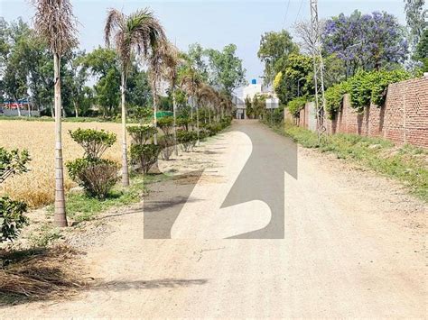 Grab This Opportunity Hot Location Farm House Land For Sale Bedian