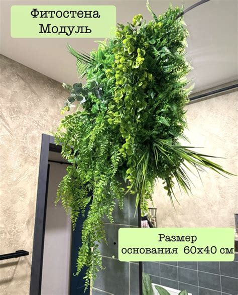Фитопанно из декоративных растений в размере 60 на 40 см, 1 штука ...