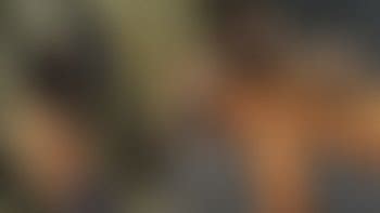 Cleo Porn Videos Clips4sale