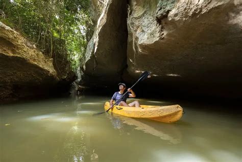 Kenong Rimba Park: Ultimate 2024 Guide to Pahang's Secret Park