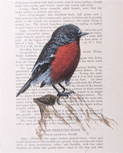 Artist Adds Exquisite Bird Paintings to Vintage Book Paper