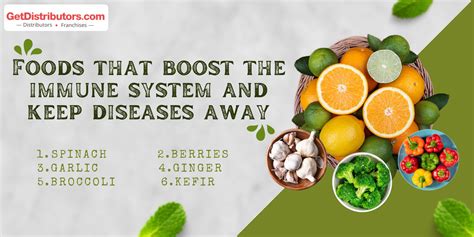 Foods That Boost The Immune System And Keep Diseases Away