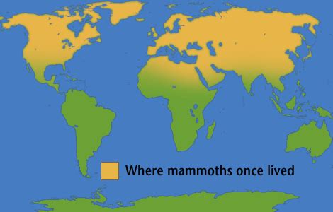 Woolly Mammoth – Education Outdoors