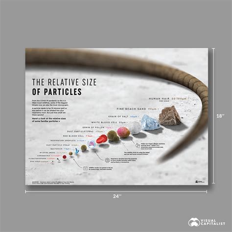 Zooming In Visualizing The Relative Size Of Particles 45 Off