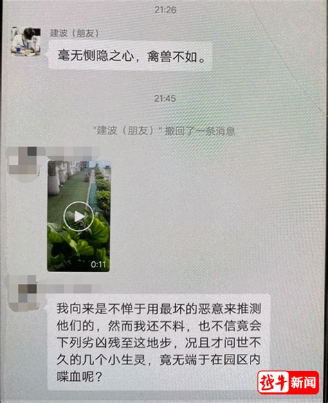 残忍！绍兴一小区物业捕捉流浪猫并淹死野猫