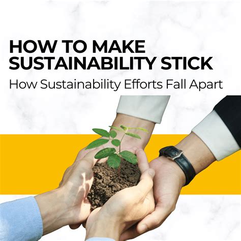 How Sustainability Efforts Fall Apart And Making Sustainability Stick