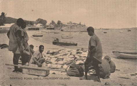 Sorting Pearl Shell On Thursday Island Torres Strait Isla Flickr