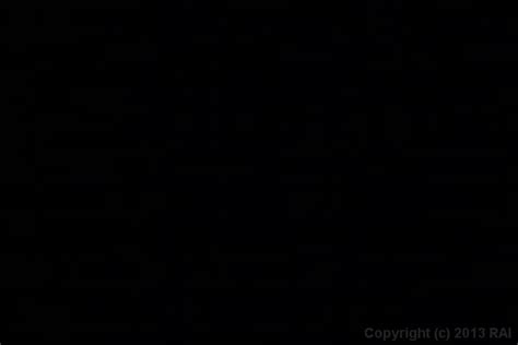 Adult Empire Award Winning Retailer Of Streaming Porn Videos On Demand Adult DVDs Sex Toys