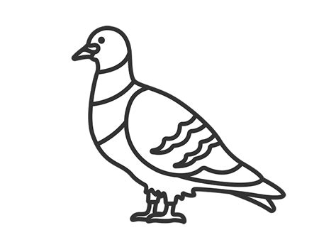 illustration  crow  drawing