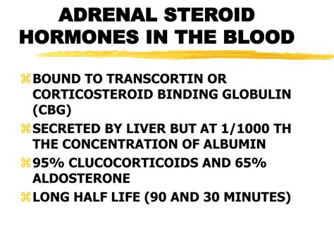 Ppt The Adrenal Gland Powerpoint Presentation Free Download Id1212986