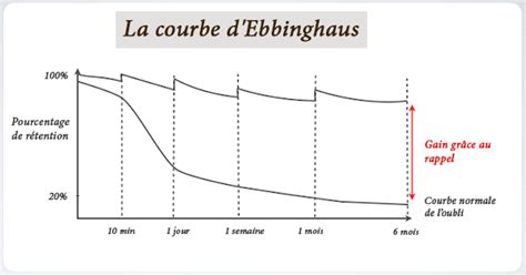 Favoriser La Mémorisation Partie 2 Risu Formation