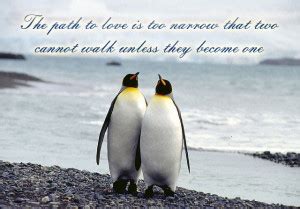 Funny Penguin Quotes. QuotesGram