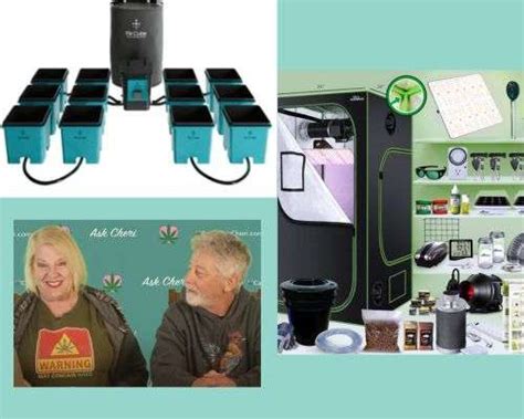 Why Mitch prefers hydroponic cannabis cultivation