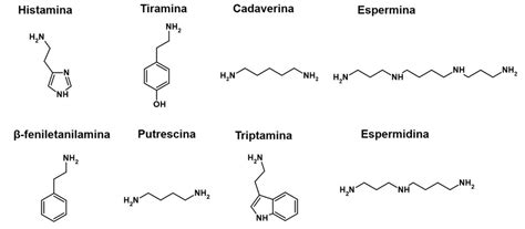 Principales Aminas Bi Genas Encontradas En Carnes Pescados Y Productos