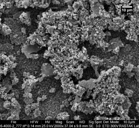 Scanning electron microscopy images of the surface of the coatings ...