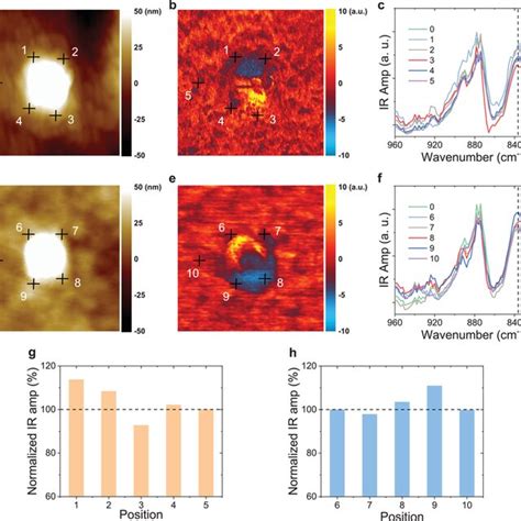 a) AFM–IR topography (1 × 1 µm²), b) chemical map irradiated with ...