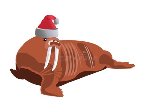 Christmas Walrus Stock Photos Image 35730083