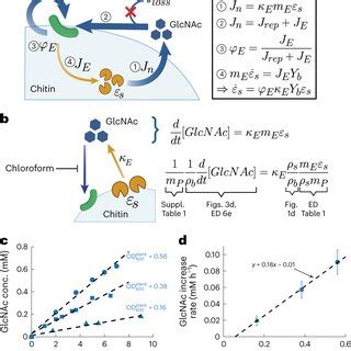 Soil enzyme substrate affinities (K m ) of chitinase (a),... | Download ...