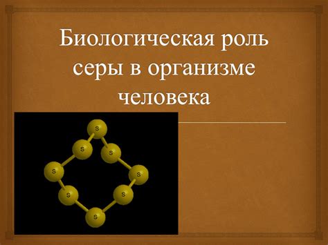 Сера: польза и вред, инструкция по применению, роль в организме