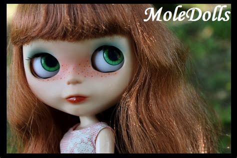 Moledolls Ooak Custom Doll Middie Blythe N80♥