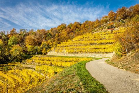 Wachau Valley Background Images, HD Pictures and Wallpaper For Free ...