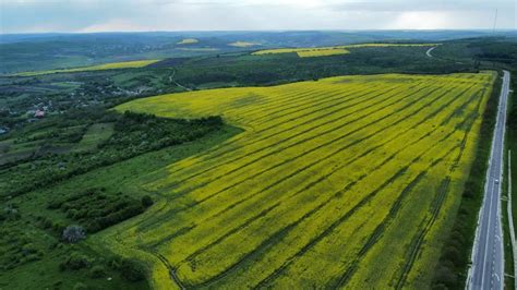 How did agriculture change daily life in the neolithic age ...