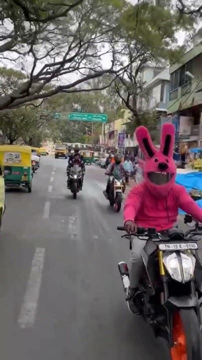 Bunny Helmet Cover Reaction ♥️ktm Ey ♥️ktm Saran Op Ktm Trending