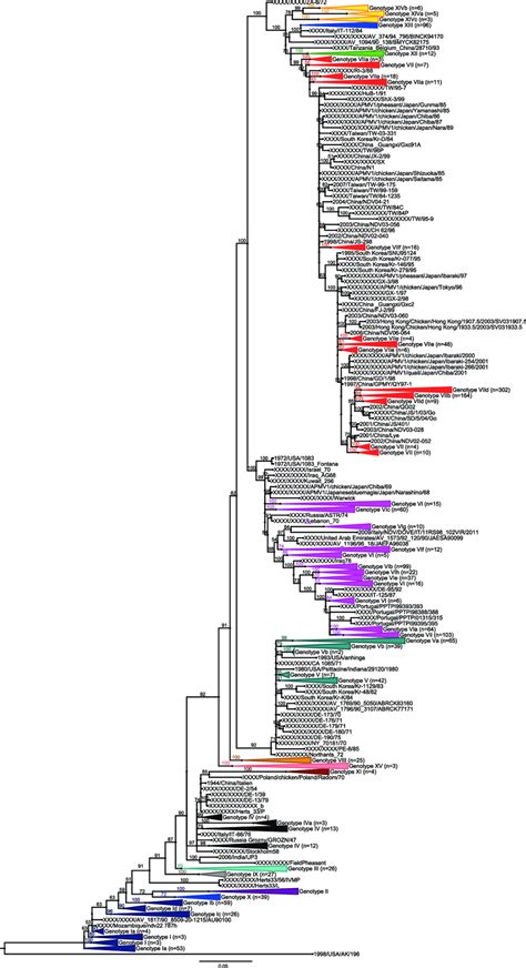 Phylogenetic Analysis Of 1921 Partial F Gene Sequences Based On