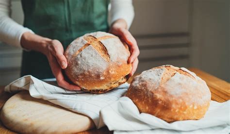 Surprising Facts Sourdough Bread is Teaching us About Gluten ...